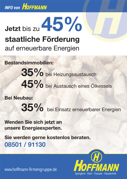 Info: Jetzt bis zu 45% staatliche Förderung auf erneuerbare Energien