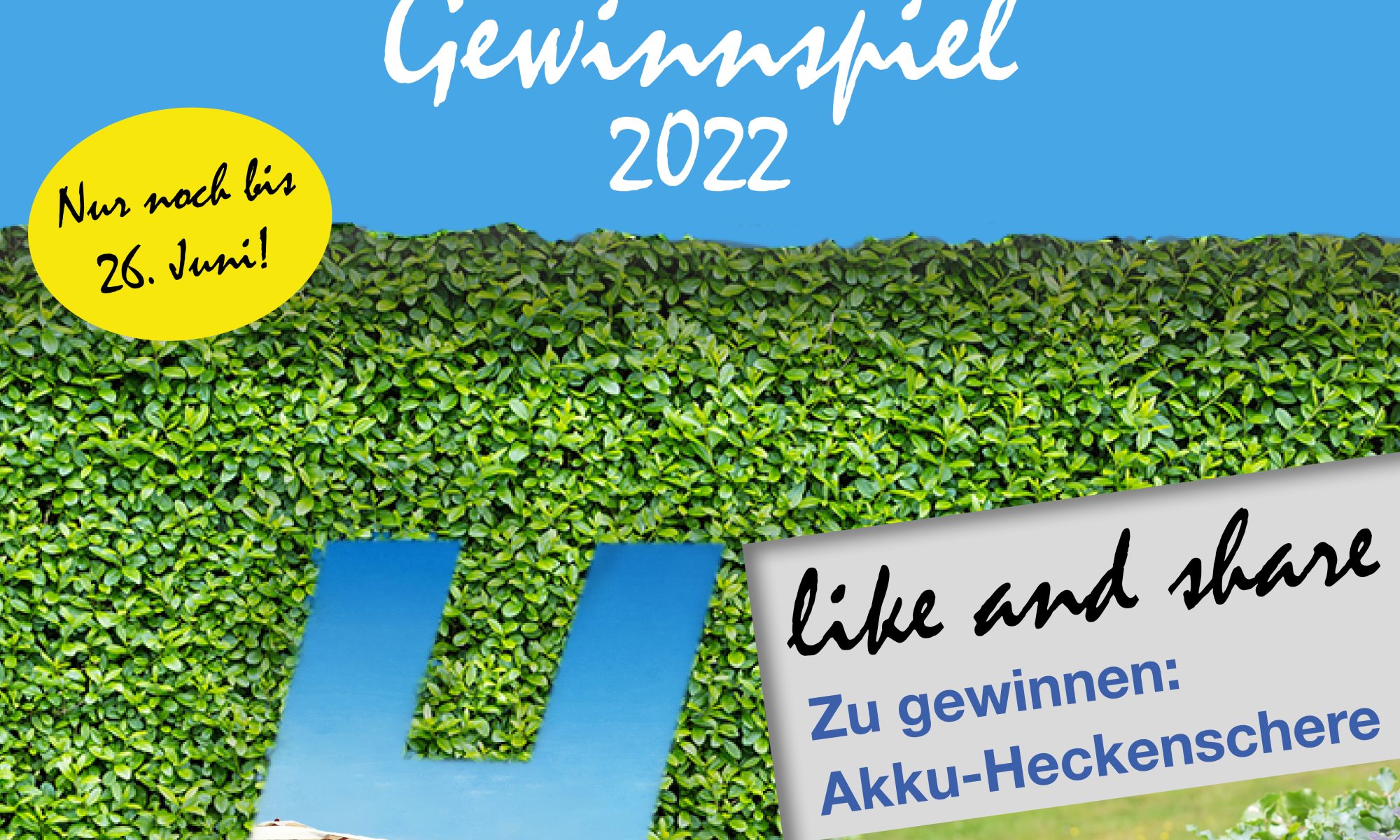 Hoffmann Sommer Gewinnspiel Profi-Akku-Heckenschere